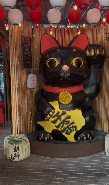 The cat holds Texas. Nobody asked it to, and yet