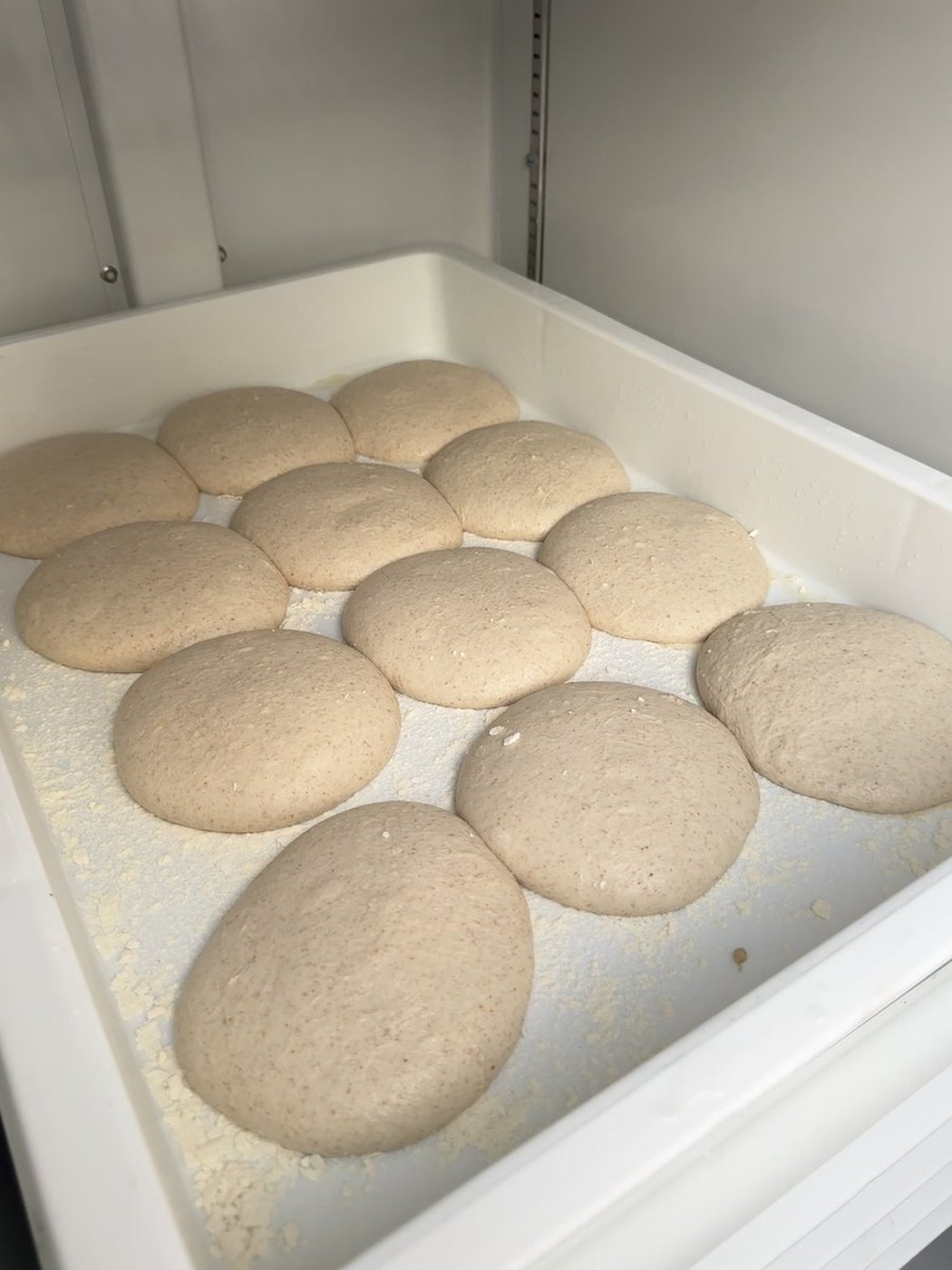 Day 3 of the cold ferment. This is the night's dough, and there is no more of it.